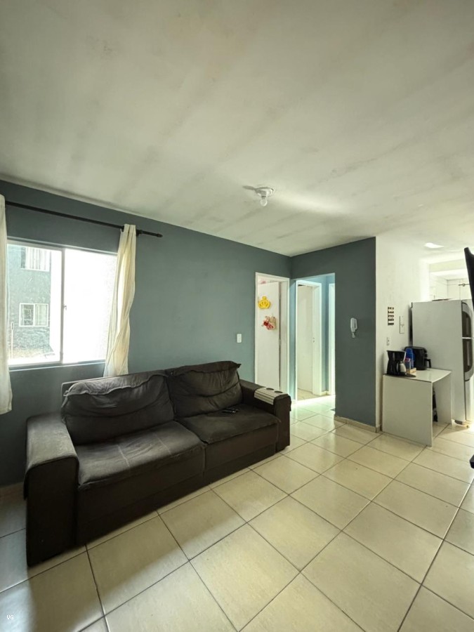 Apartamento, 2 quartos - Foto 13